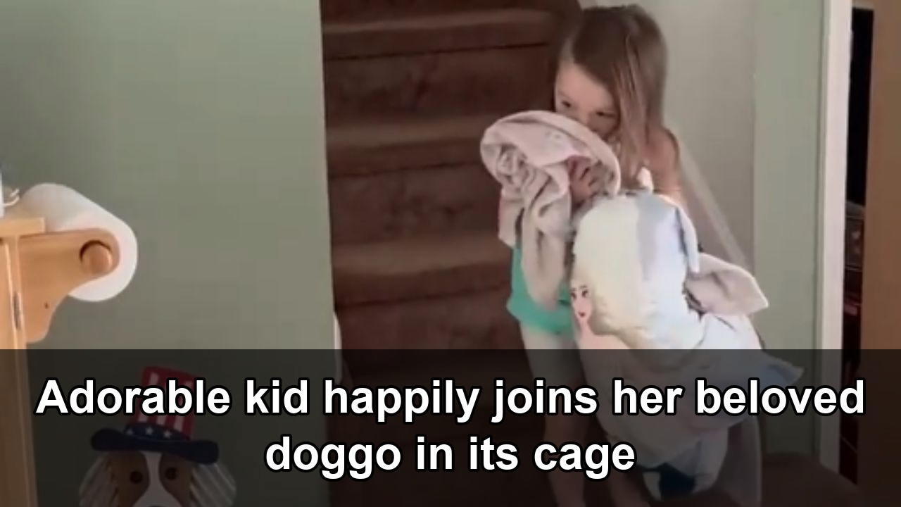 Toddler climbs into dog enclosure with pillow and blanket