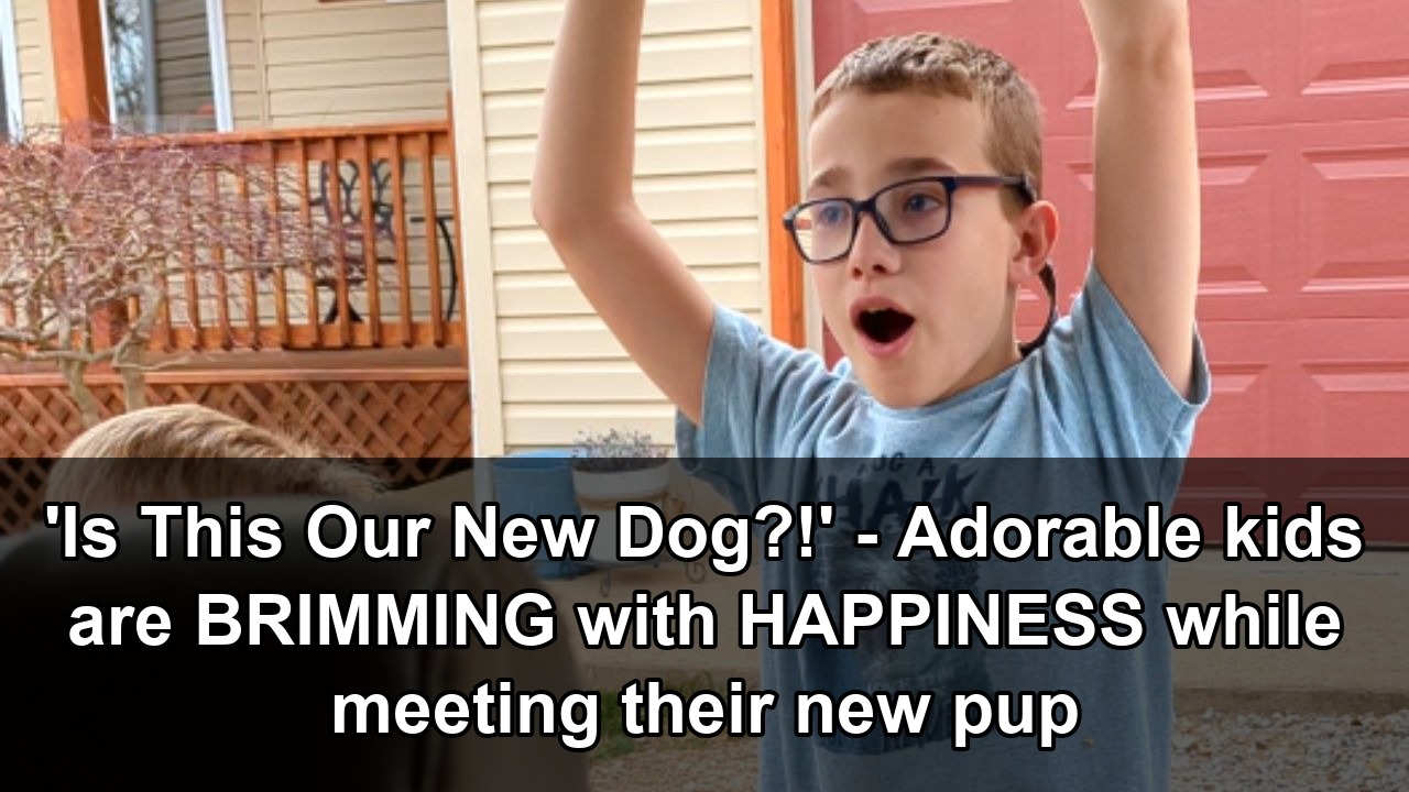 Kids react to new rescue dog after four month gap